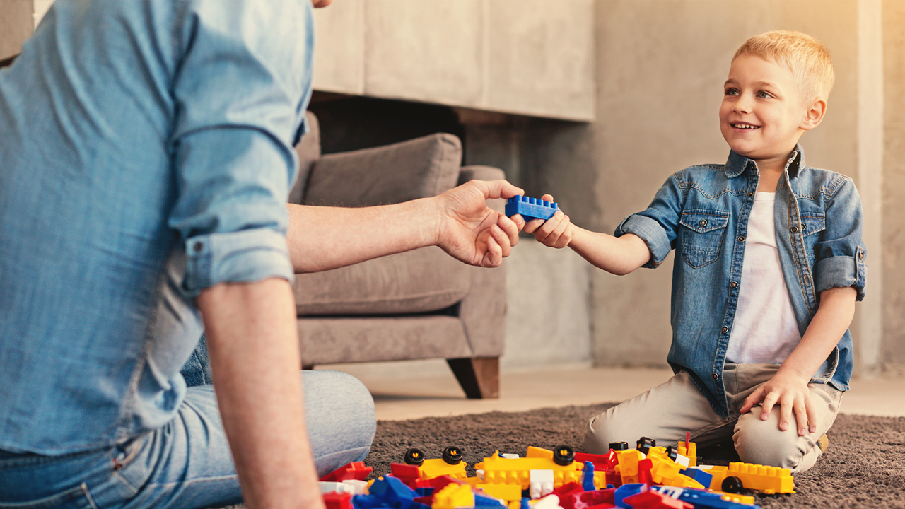 Solicitud de Protección Legal (Depósito de Persona)